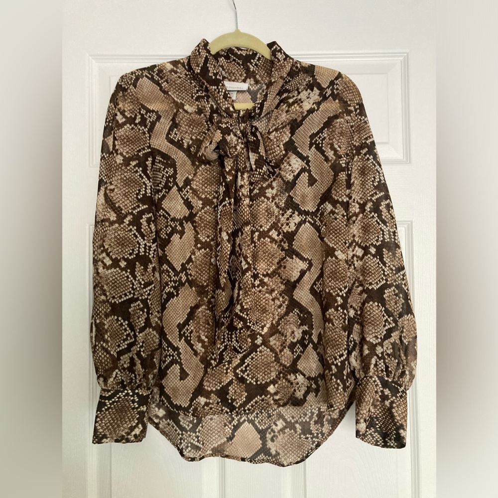 Snake Print Blouse